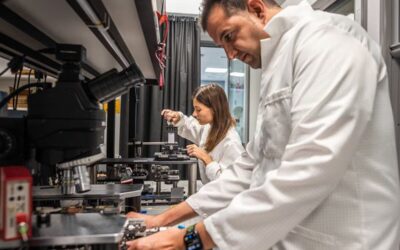 Los incentivos fiscales impulsan la I+D privada en España (elpais.com)